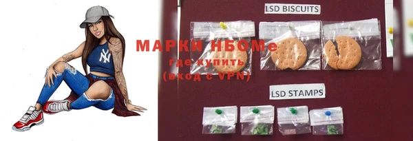 МДПВ Алексин
