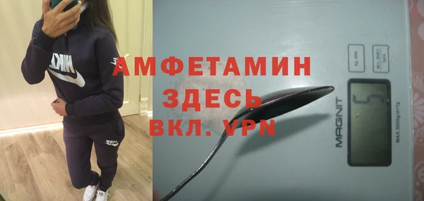 молекула духа Алзамай