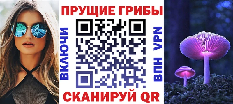 KRAKEN рабочий сайт  Кемь  Галлюциногенные грибы Psilocybine cubensis 